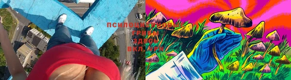 бошки Куйбышев